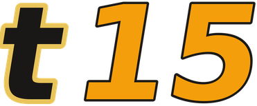 t15 logo